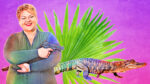 Cousin Marie smiling while holding a handgun, with a stylized alligator against a purple background.